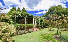 Raspberry Terrace Of Leura