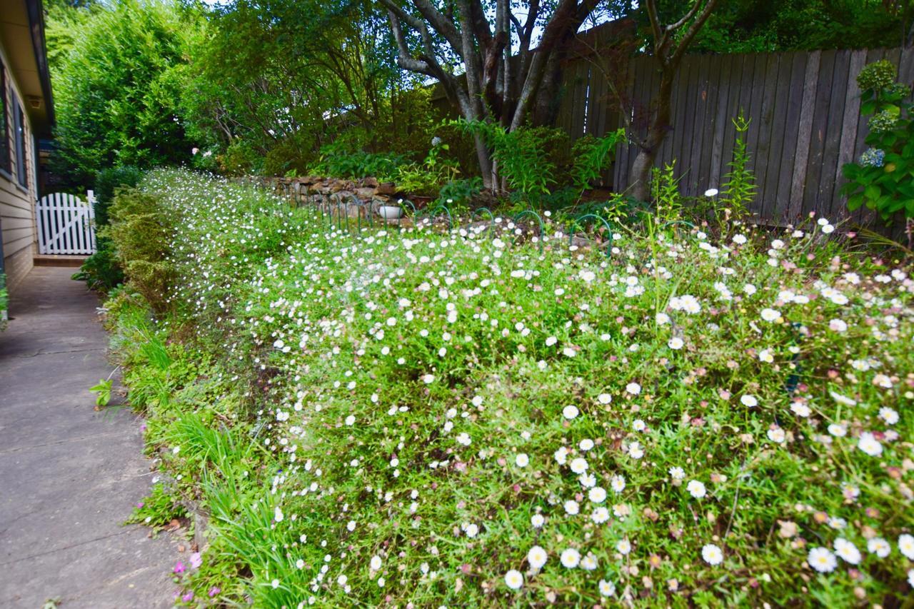 Raspberry Terrace Of Leura Villa Exterior photo
